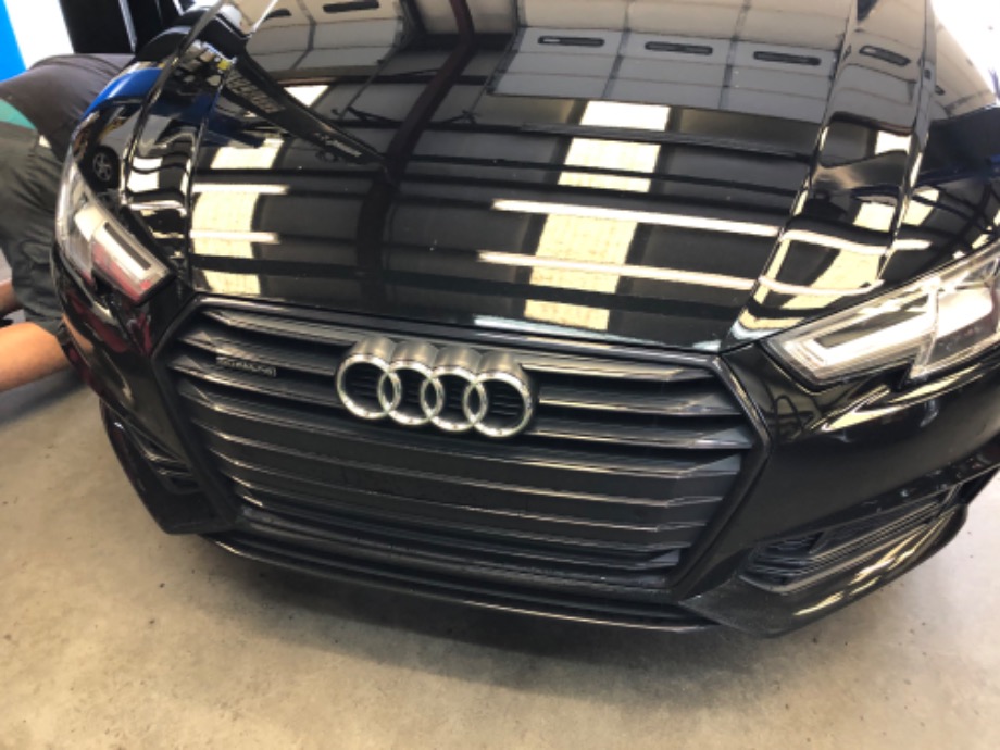 Audi Repair Knoxville Tn EuroHaus MotorSports